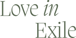 Love In Exile Offical Store mobile logo
