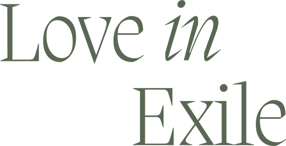 Love In Exile Offical Store logo